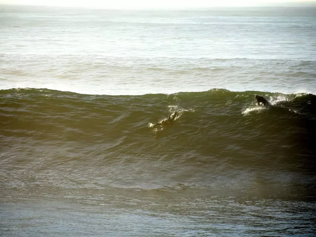 Grosse_Wellen_Surfen_Frauen_Lena_Kemner_@barrelsniper