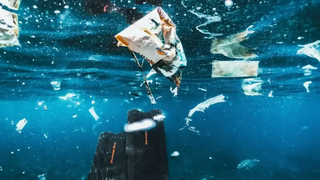 Platikmüll-im-Meer_foto-naja-bertolt-jensen-unsplash