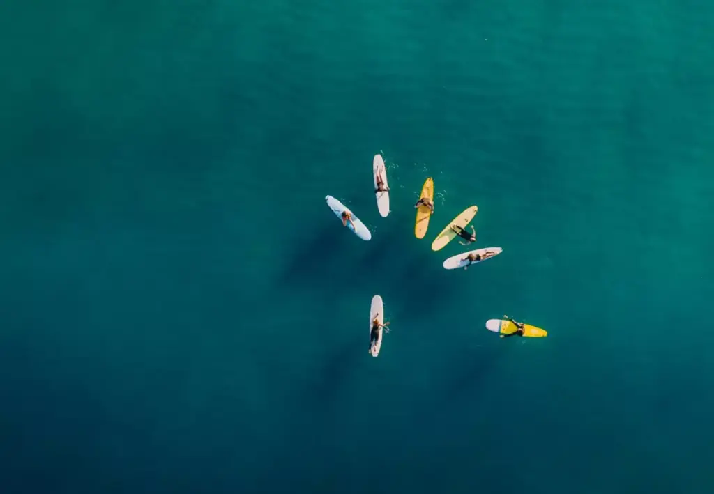 wellenreiten-haiangriffe-auf-surfer