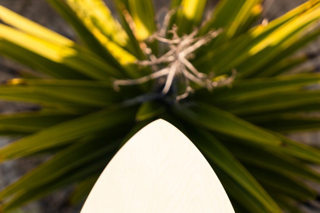 wellenreiten-natur-lebensstil-balance-board